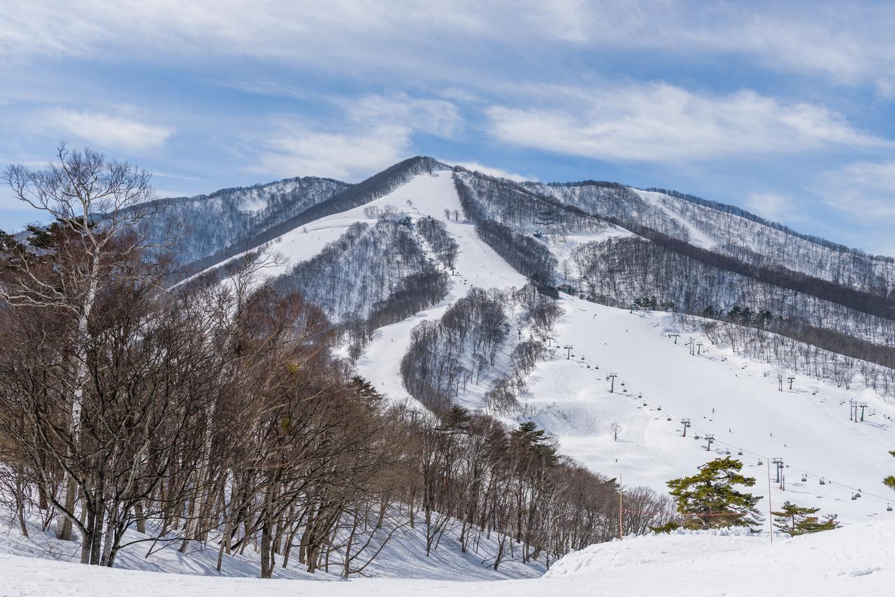 Kuma Lodge & Woodpecker Lodge飯山市 エクステリア 写真